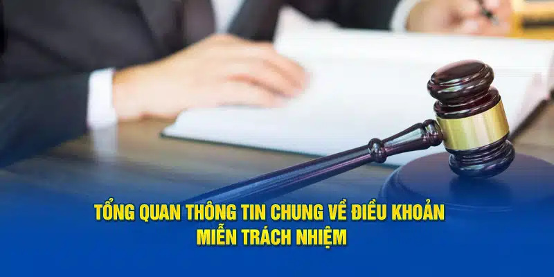 Các chính sách miễn trừ trách nhiệm mà bạn cần nắm được